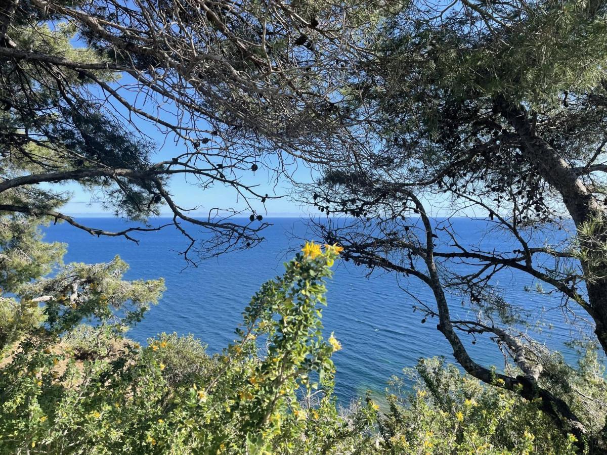 Mignon Calme Douillet Ascenseur Clim Etage Eleve Proche Parking Et Toutes Commodites Au Coeur Du Historique Apartamento *